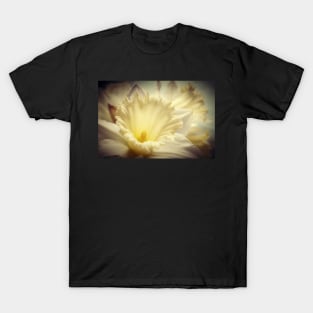 Glowing Daffodil T-Shirt